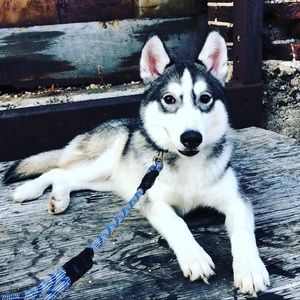 Meet your Posher, Tyler